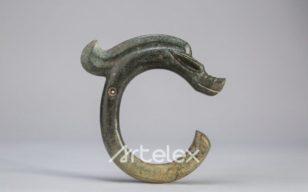 C-shaped Dragon