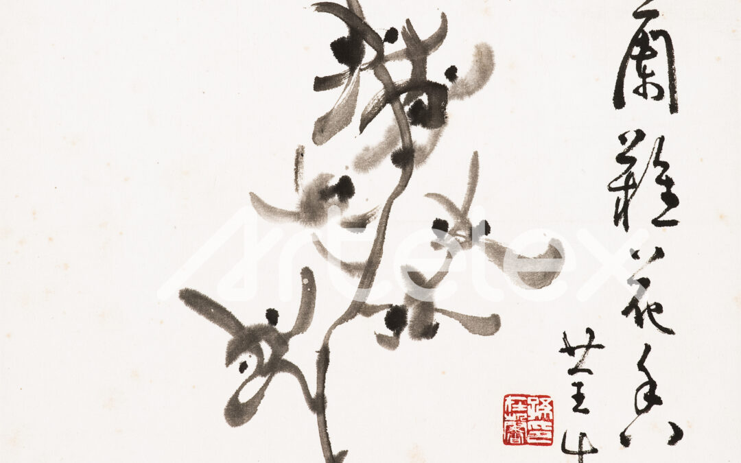 Son Jae-hyung’s Orchid flower