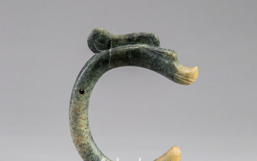 C-shaped Dragon